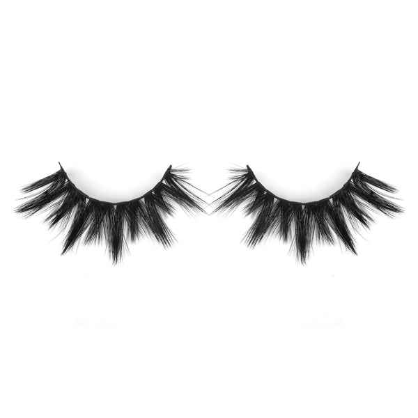 HOLLYWOOD LASHES